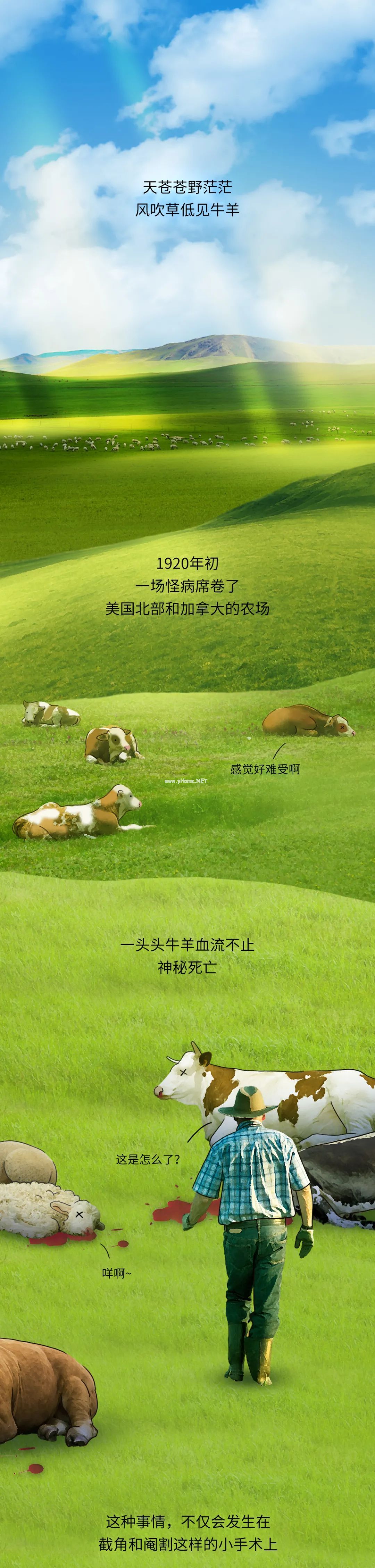 血腥中诞生的救命药,每年拯救上千万人! 血腥中诞生的救命药,每年拯救上千万人!