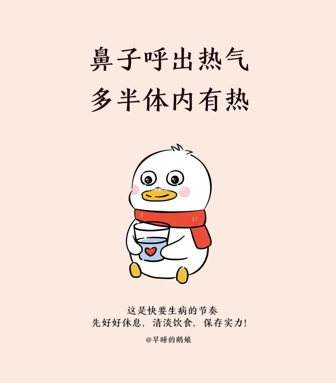鼻子，在偷偷告诉我们什么？