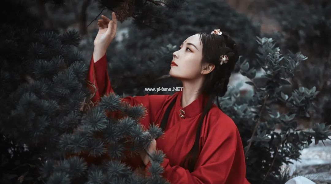 俗语说：“女婿上床，家破人亡”？今天总算明白了！