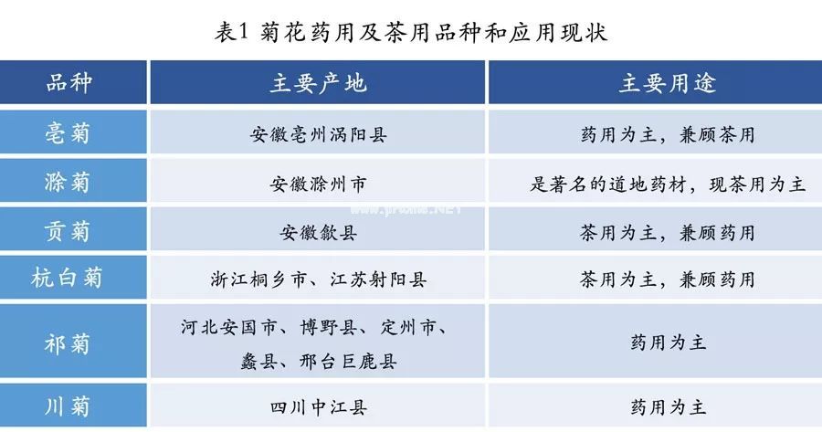 金秋话菊——泡茶中药菊花，你会选吗?
