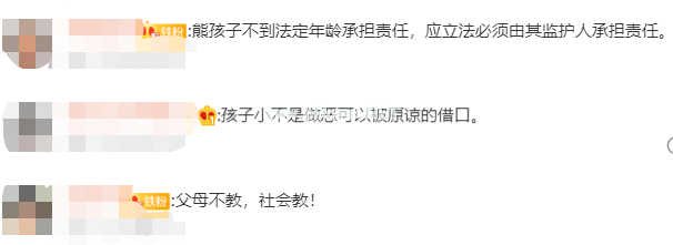 熊孩子闯祸，家长要不要「兜底」？网友们的回答绝了！