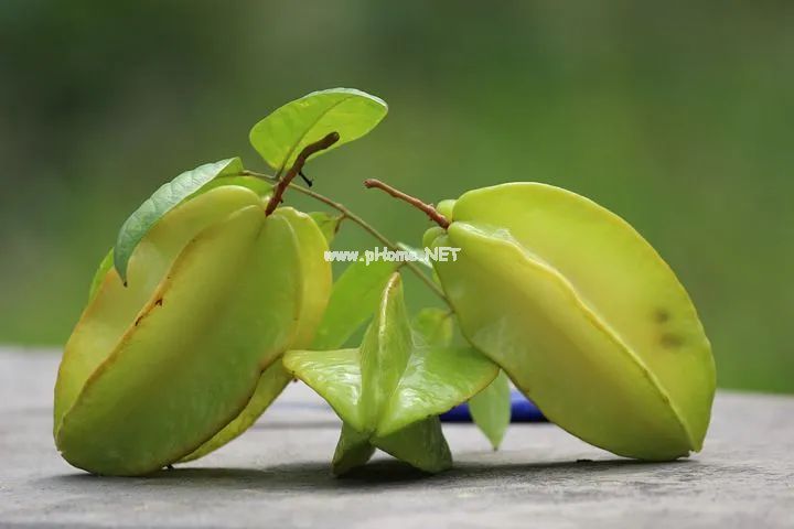 榴莲易伤肝，柿子易伤胃，最易伤肾的水果原来是它！你该吃啥水果，一文说清楚！