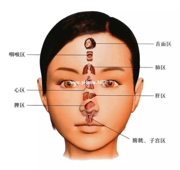 老中医公开～颜面望诊教程【收藏学习】