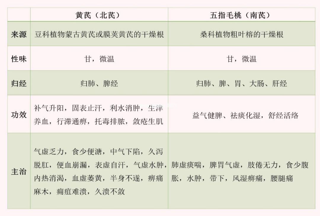 药师话你知，一味比北芪更适合南方人补气的中药