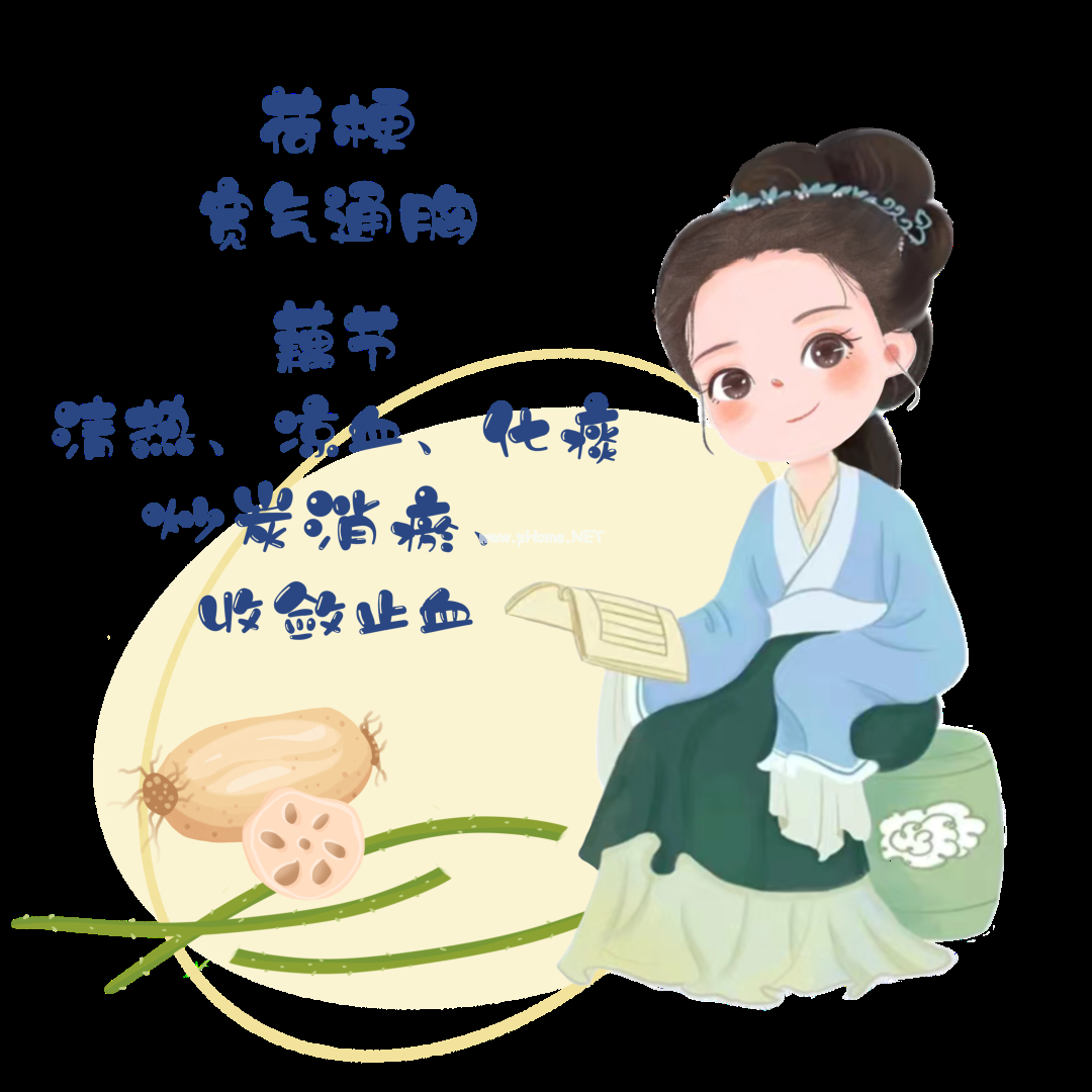 夏已至——藏在节气里的中药