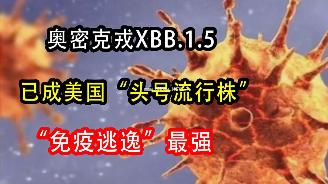 Xbb毒株，中医处方来了（文末有详细配方）