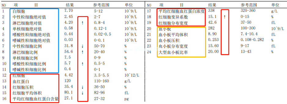 「血癌」专挑孩子下手？血常规报告上有这3种箭头，要当心