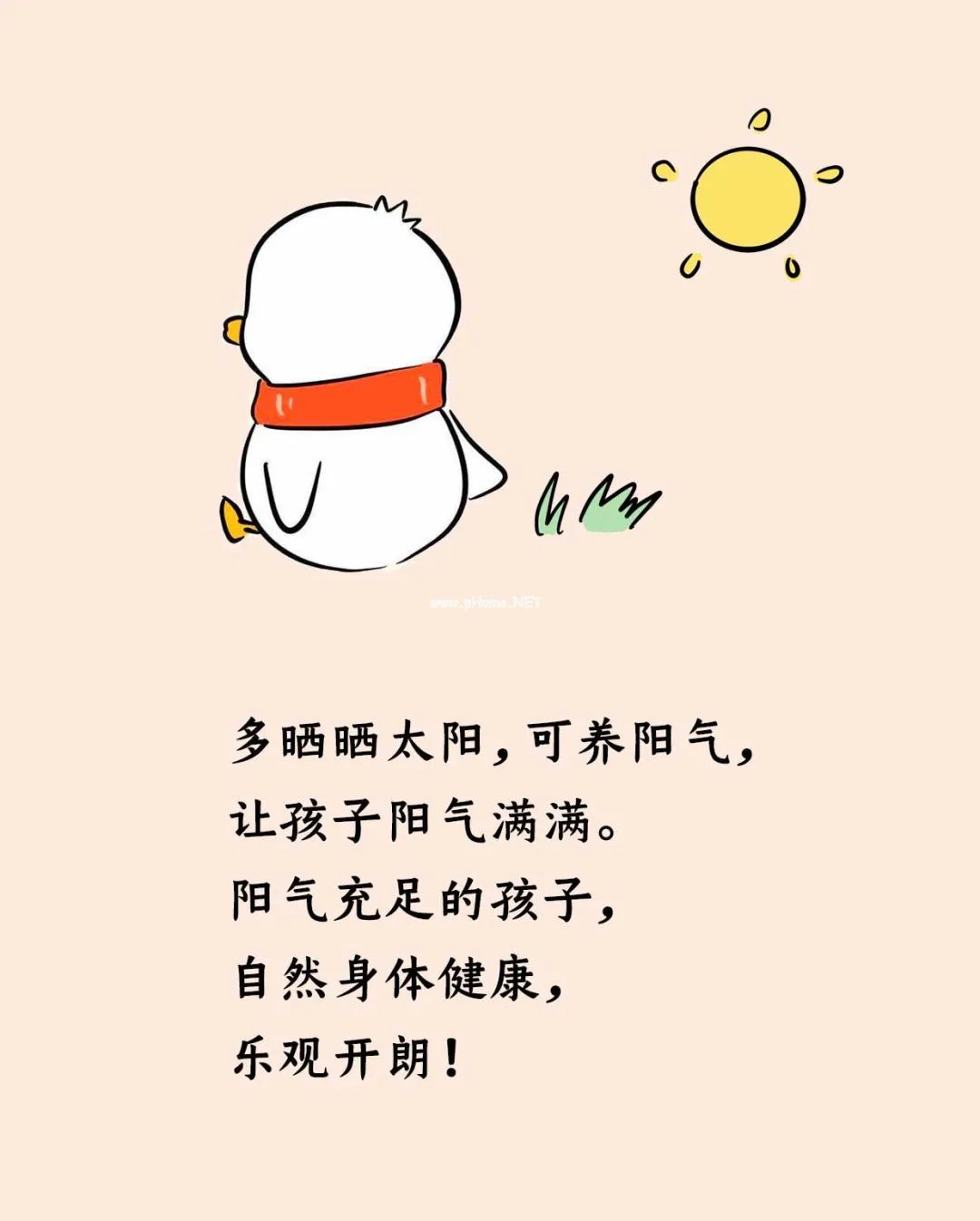 土地和阳光，对孩子意味着什么？