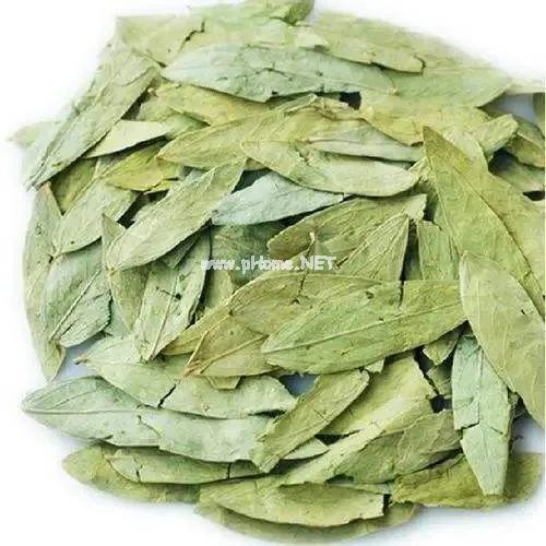 肠道清洁小能手——番泻叶