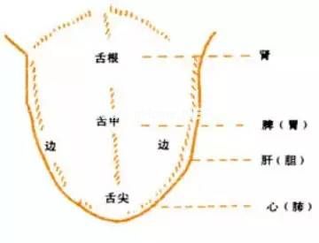 面诊、眼诊、鼻诊、耳诊、唇诊、舌诊、齿诊图...都收集齐了！