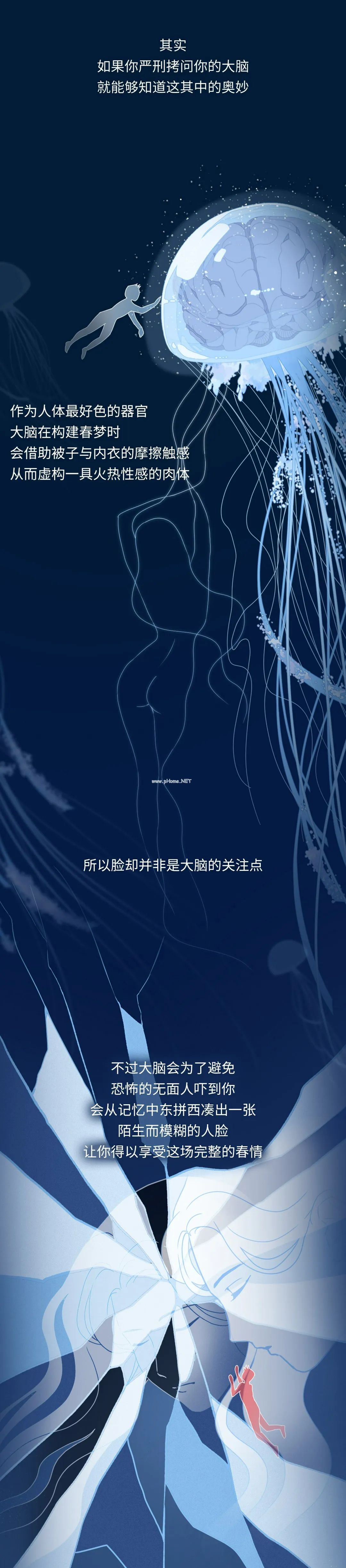 为什么你的春梦里，经常会出现陌生人？
