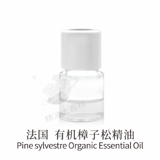 有机樟子松精油--强效缓解呼吸系统疾病