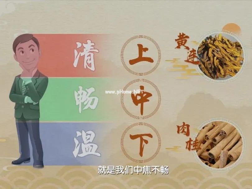 上热下寒,张仲景一个千年古方方子,清热又袪寒! 上热下寒,张仲景一个千年古方方子,清热又袪寒!