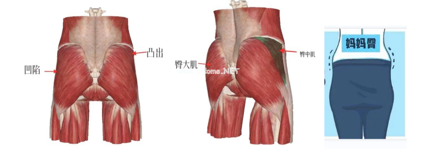 315曝光：6天拿证速成“医师”，产后修复真得小心了！