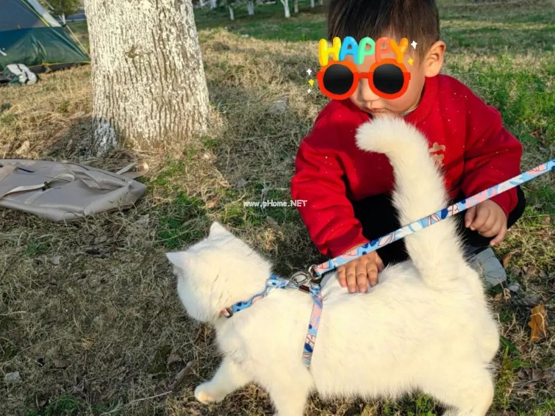 本以为是吃坏肚子，直到孩子突然倒地，双眼上翻，浑身抽搐……