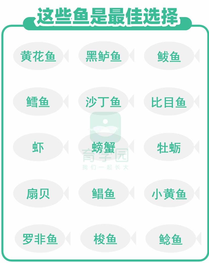 孩子吃鱼更聪明？这4种鱼一口都别多吃！