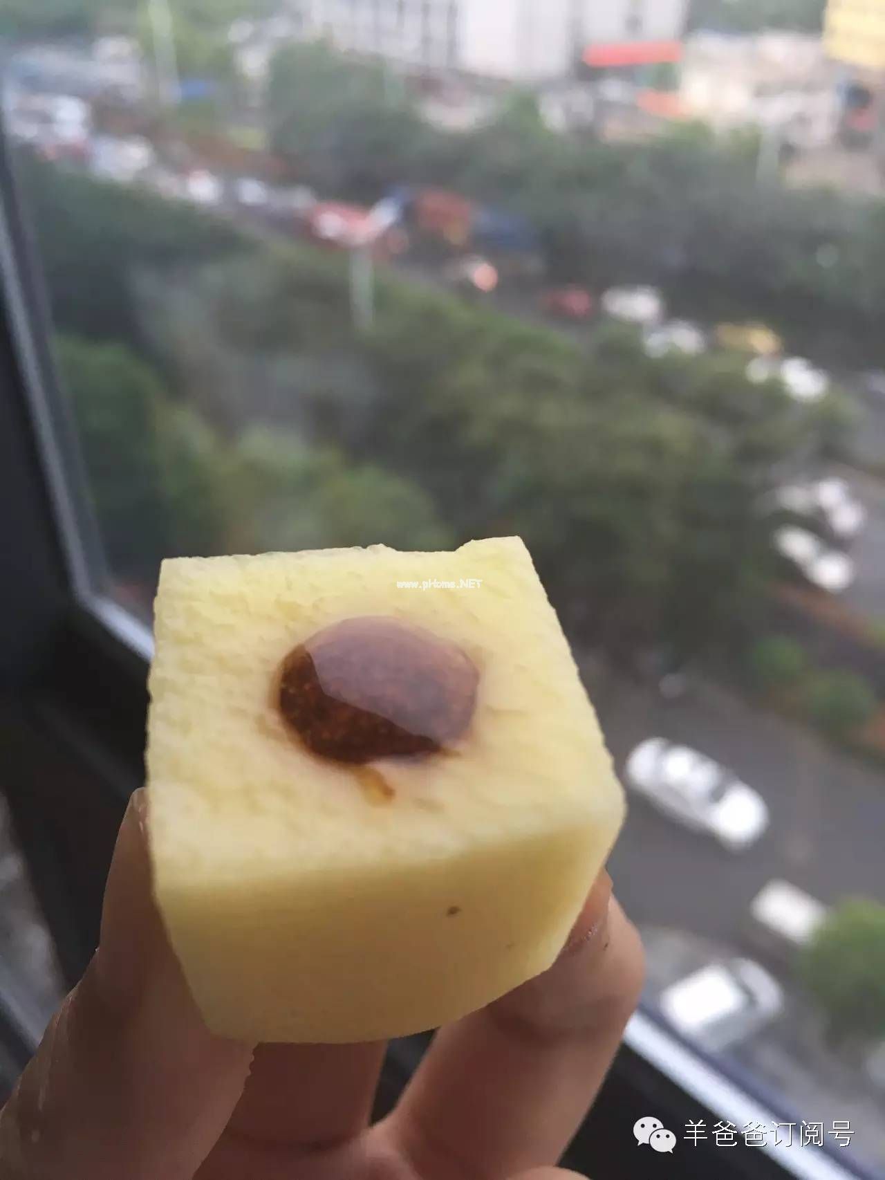 便秘救急：蜜煎导法