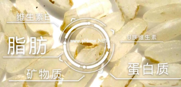 这种米一小碗，维生素含量竟抵上20个鸡蛋，给宝宝吃尤其适合