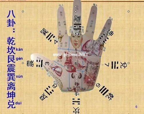手诊、面诊、眼诊、嘴诊【收藏学习】