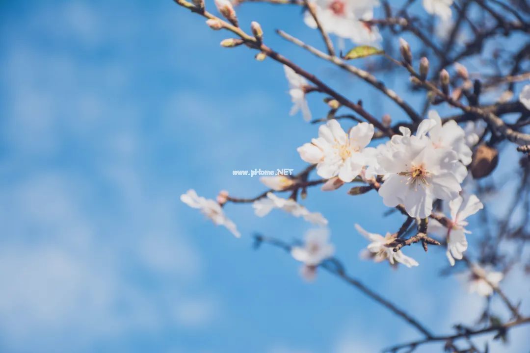 一个月中最重要的“黄金补血期”，怎么吃才能“生血”？