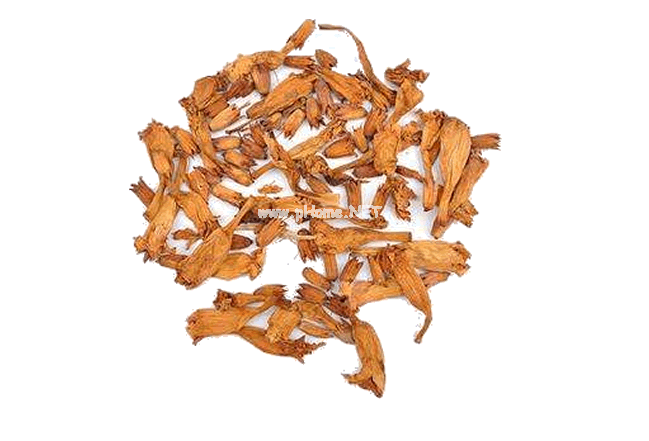 夏天墙头绽放的凌霄花，原来是个好药材