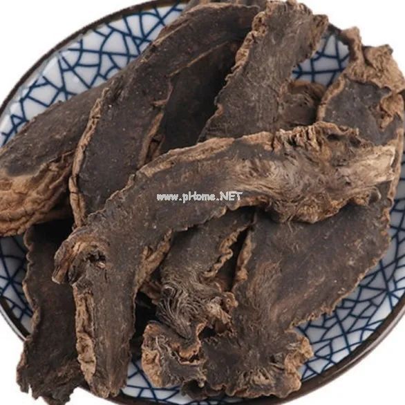 中药之美——十大道地药材