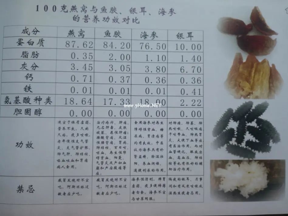 燕子的唾液分泌物——燕窝