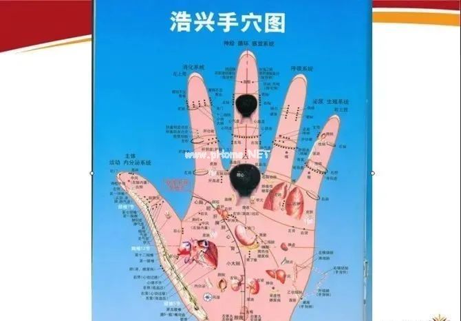 手诊、面诊、眼诊、嘴诊【收藏学习】