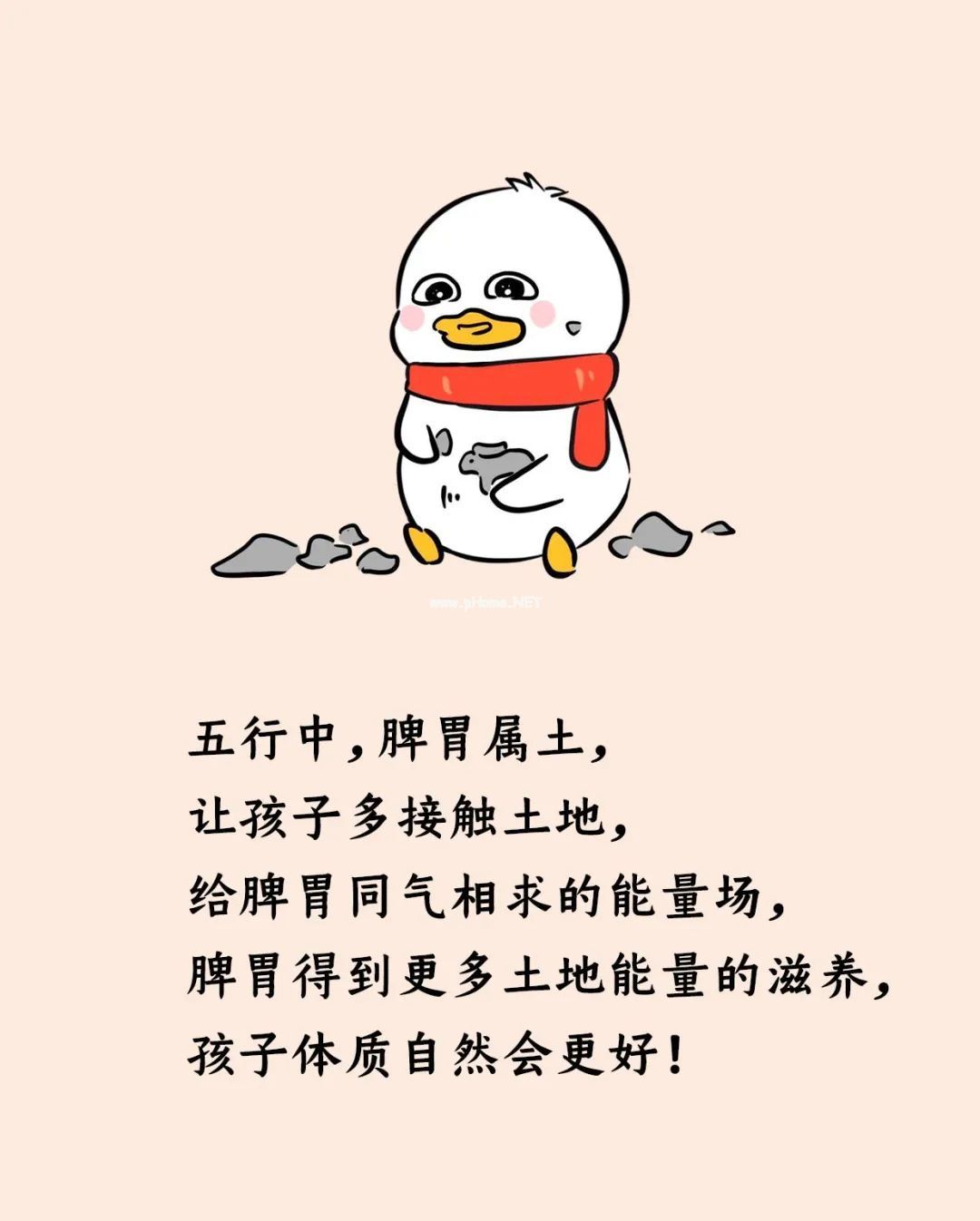 土地和阳光，对孩子意味着什么？