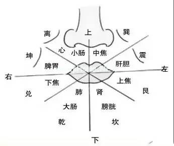 面诊、眼诊、鼻诊、耳诊、唇诊、舌诊、齿诊图...都收集齐了！