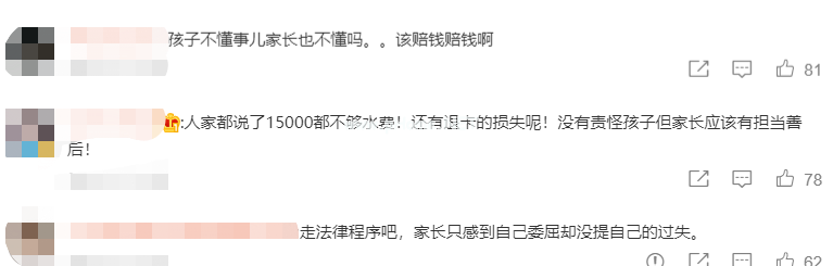熊孩子闯祸，家长要不要「兜底」？网友们的回答绝了！