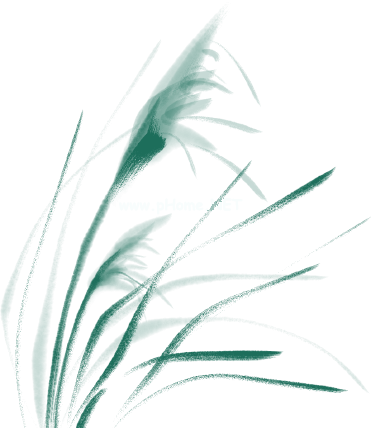 端午药俗，传承千年的“防疫”良方