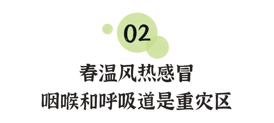 春天容易感冒发热、咽喉发炎，家中可常备这3个食疗方
