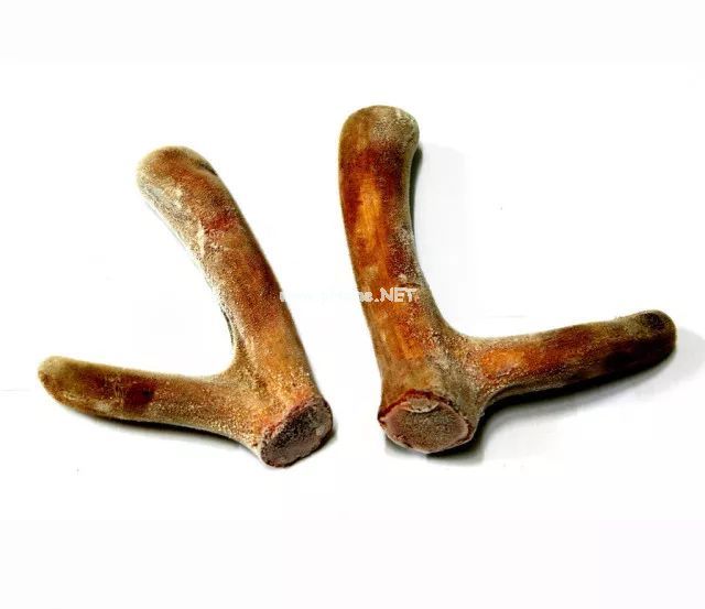 中药虽好，月经期间尽量不要吃，“特殊日子”也要谨慎！