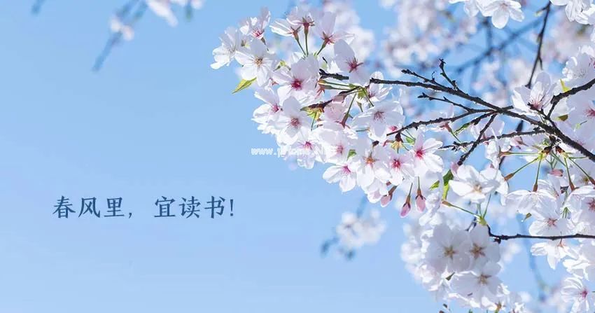 春天，来一碗明目养肝汤！网课必备！