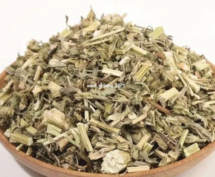妇女节话“妇科圣药”——益母草