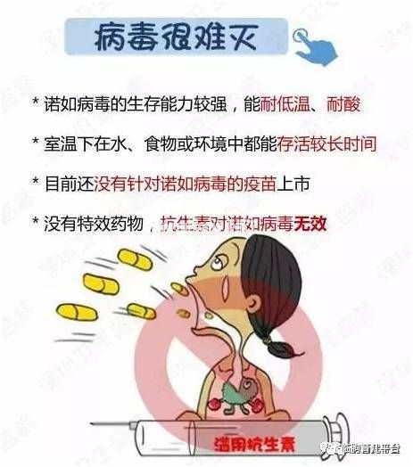 诺如病毒来袭！小儿推拿帮助您！