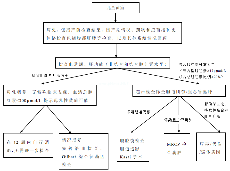 儿童黄疸的常见病因及诊断思路