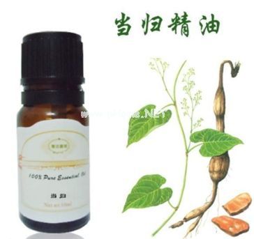 香疗身心，补血调经之好药——当归