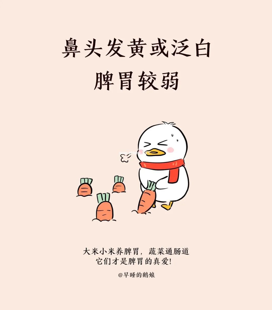 鼻子，在偷偷告诉我们什么？