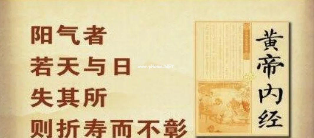 晒太阳与长寿的秘密