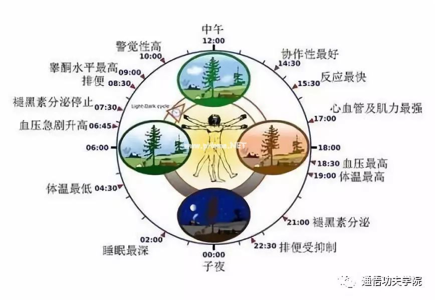 按照“子午流注”规律修行，事半功倍！