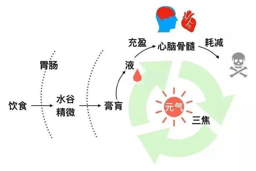 搞懂了人体“三焦”，所有疑难杂症，都迎刃而解！
