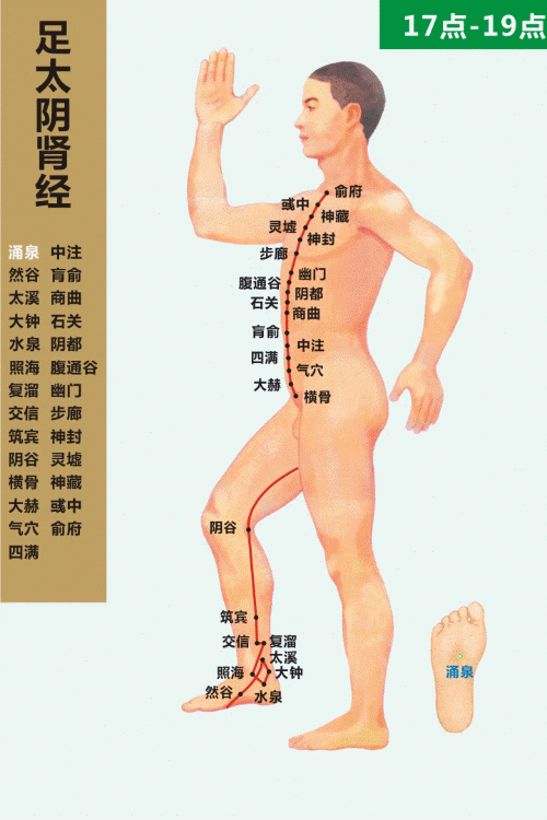 用经络养生治病蕞好遵循时辰，附经络动态循行图