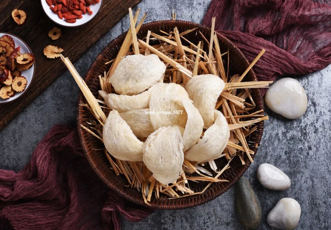 燕子的唾液分泌物——燕窝