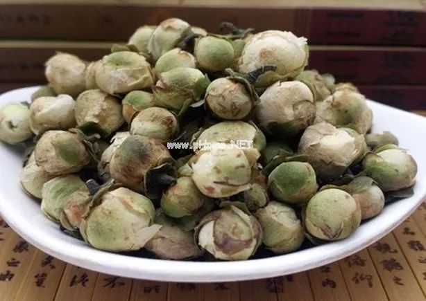 带您走近传说中的“天山雪莲”