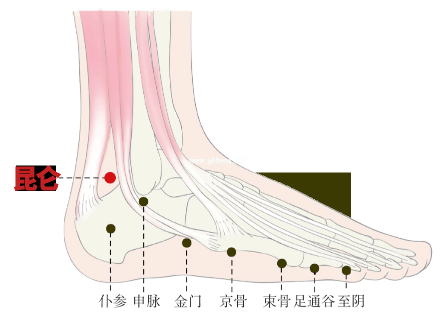 一文读懂！新冠感染早期5大症状的经络自救