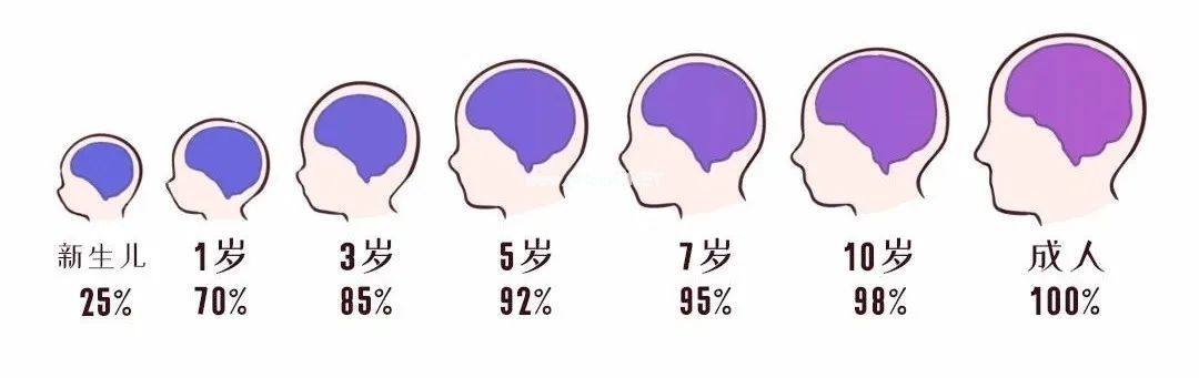别再被早教班骗了！真正提高孩子智力发育，在家就能做
