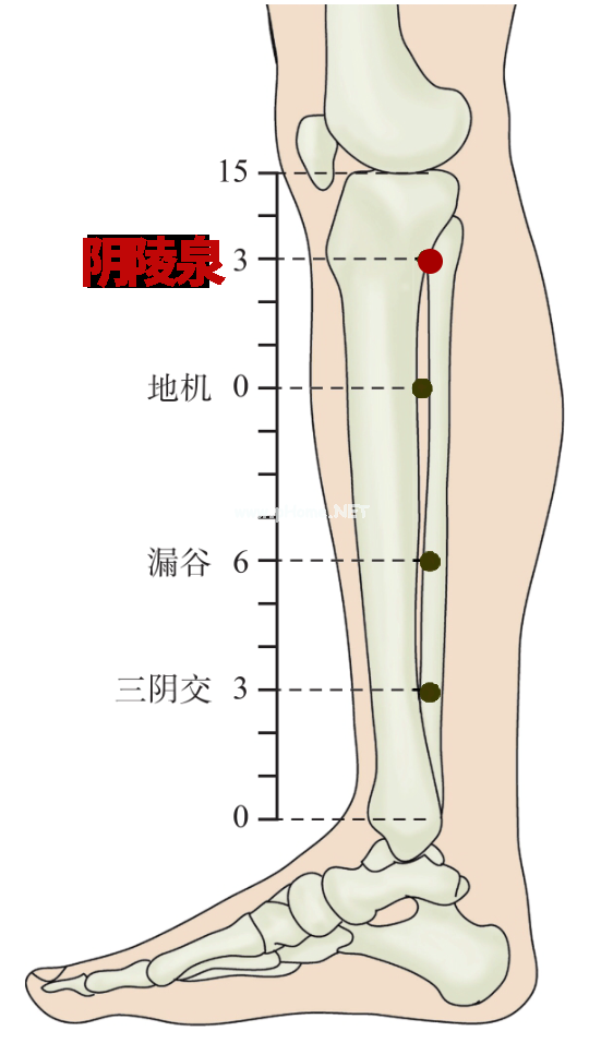 一文读懂！新冠感染早期5大症状的经络自救