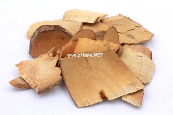 一味神通广大的中药，可消瘤，可舒筋，在农村却被当成篱笆防盗！